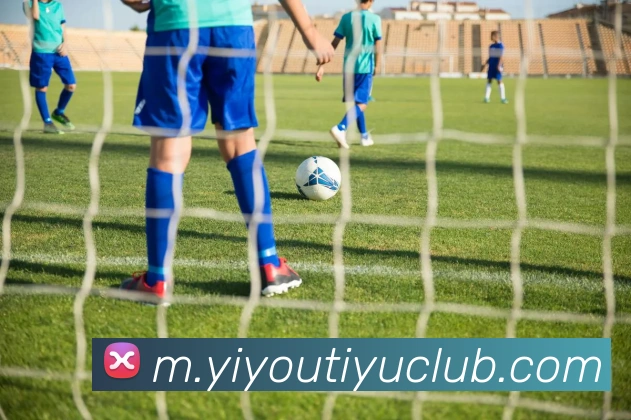 App Interface Preview