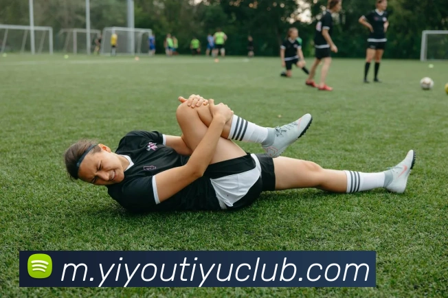 易游体育APP 封面图